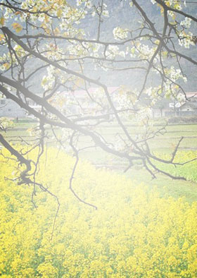 PG�齫������Ѱ�����-pg�齫�����������°��ȫ-��ɫ��Դ��