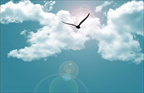 PG�齫������Ѱ�����-pg�齫�����������°��ȫ-��ɫ��Դ��