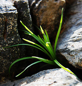 PG�齫������Ѱ�����-pg�齫�����������°��ȫ-��ɫ��Դ��