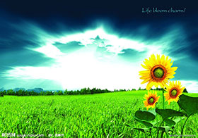 PG�齫������Ѱ�����-pg�齫�����������°��ȫ-��ɫ��Դ��